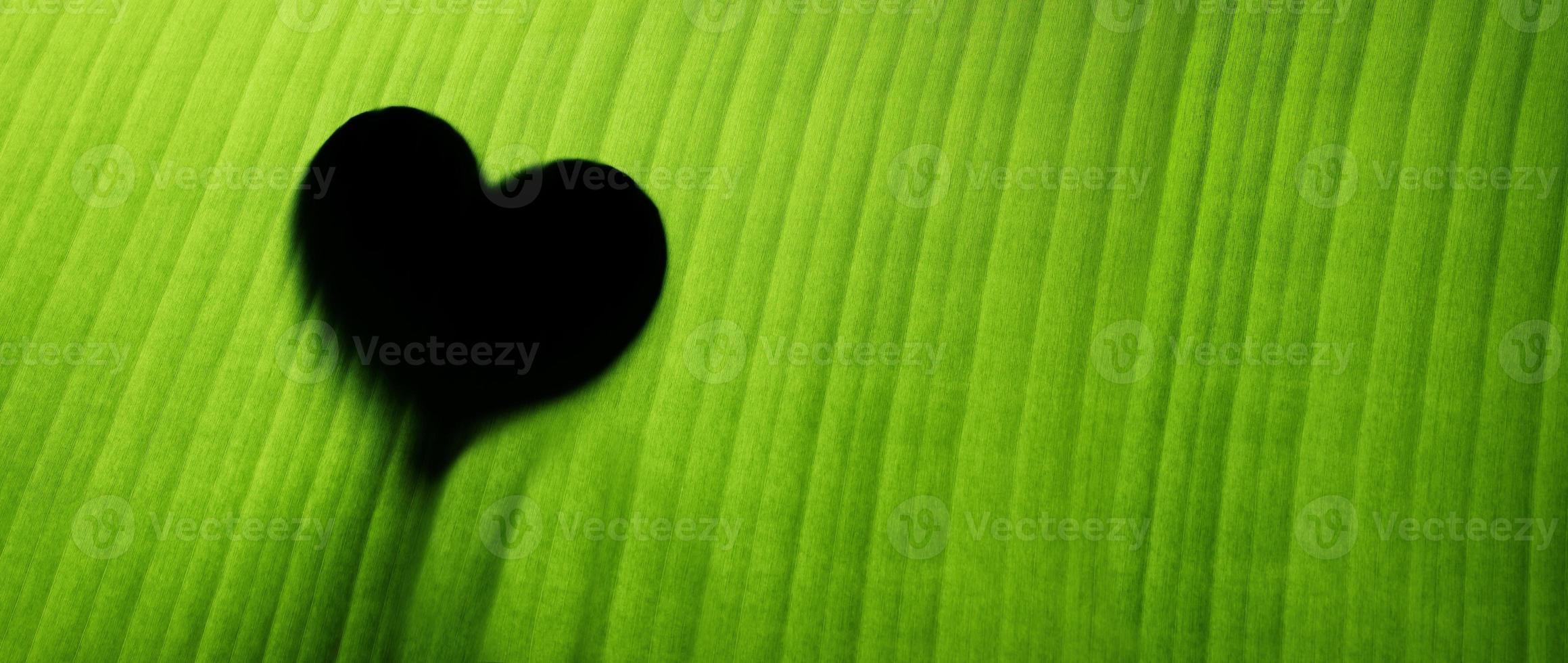 Sustainable Lifestyle Concept. World Environment Day. Green Leaf with Backlit technic as Heart Shape photo