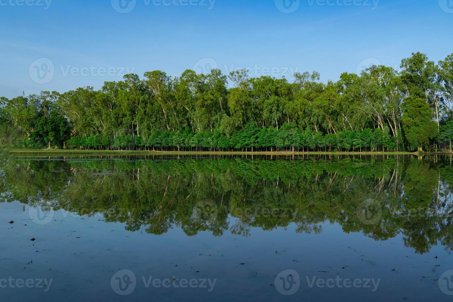 bosque de asia con el reflejo del agua durante el día de cielo abierto. foto