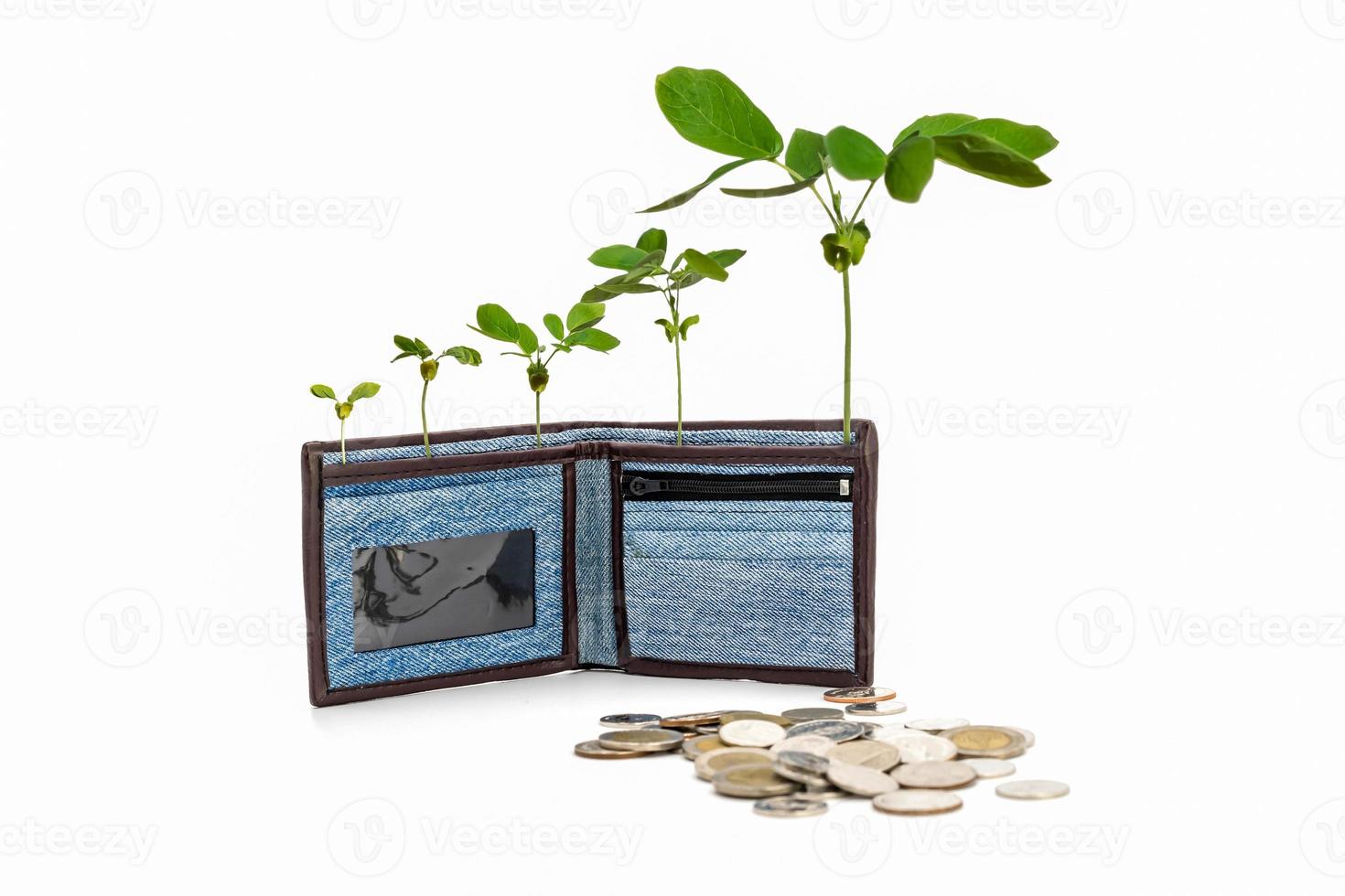 Jean cloth wallet is opened and standed on white background with the growing tree inside it in business money saving concept in studio light. photo