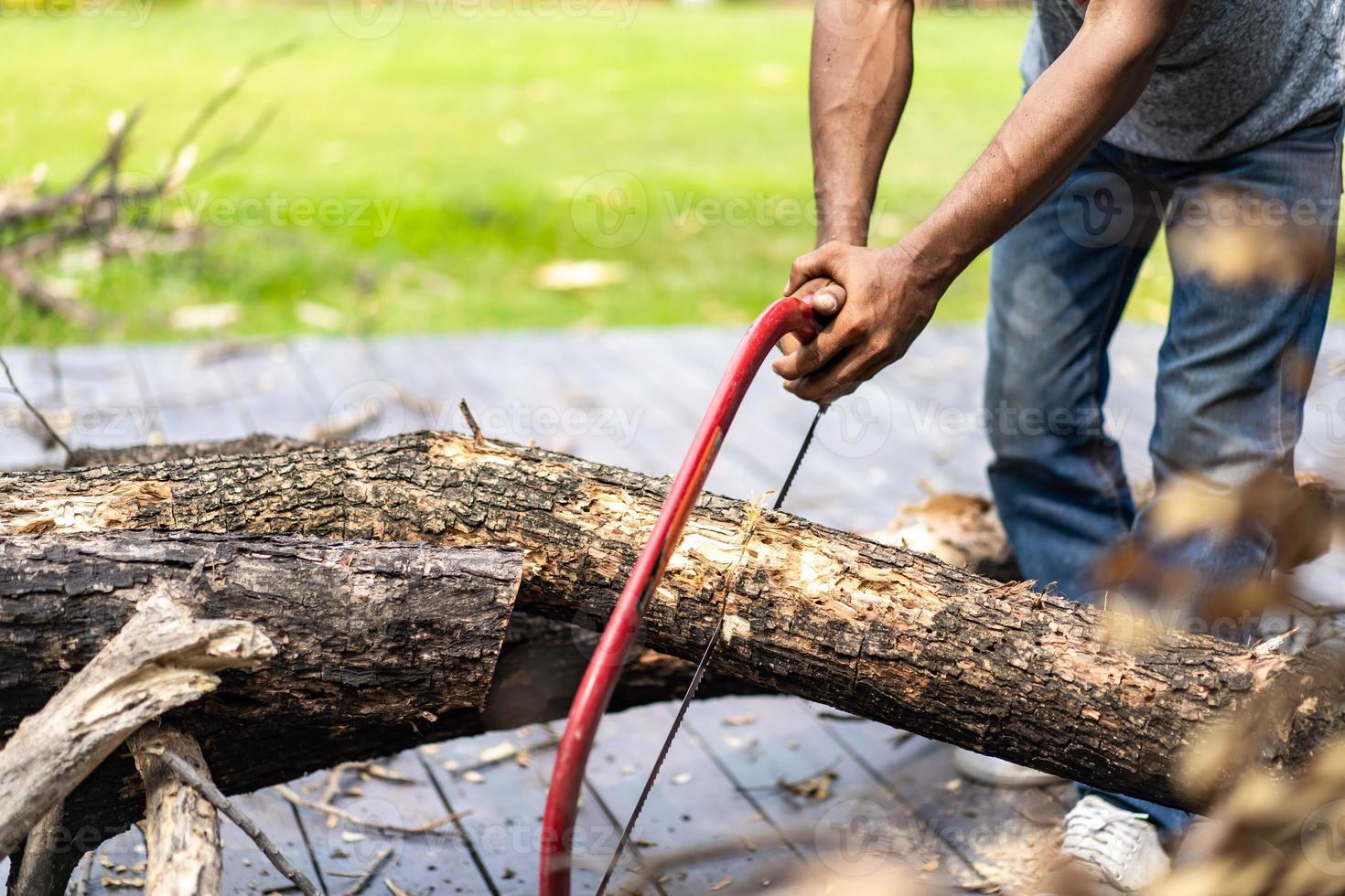 Asian worker saw log, dead tree to small pieces for next process. photo