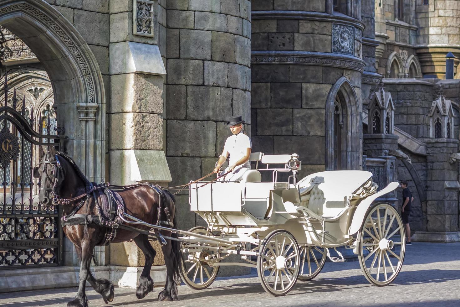 2022-08-16 Russia, Samara, Garibaldi Castle Tourist Center in the village of Khryashchevka, Samara region. The rider drives the carriage around the Castle photo