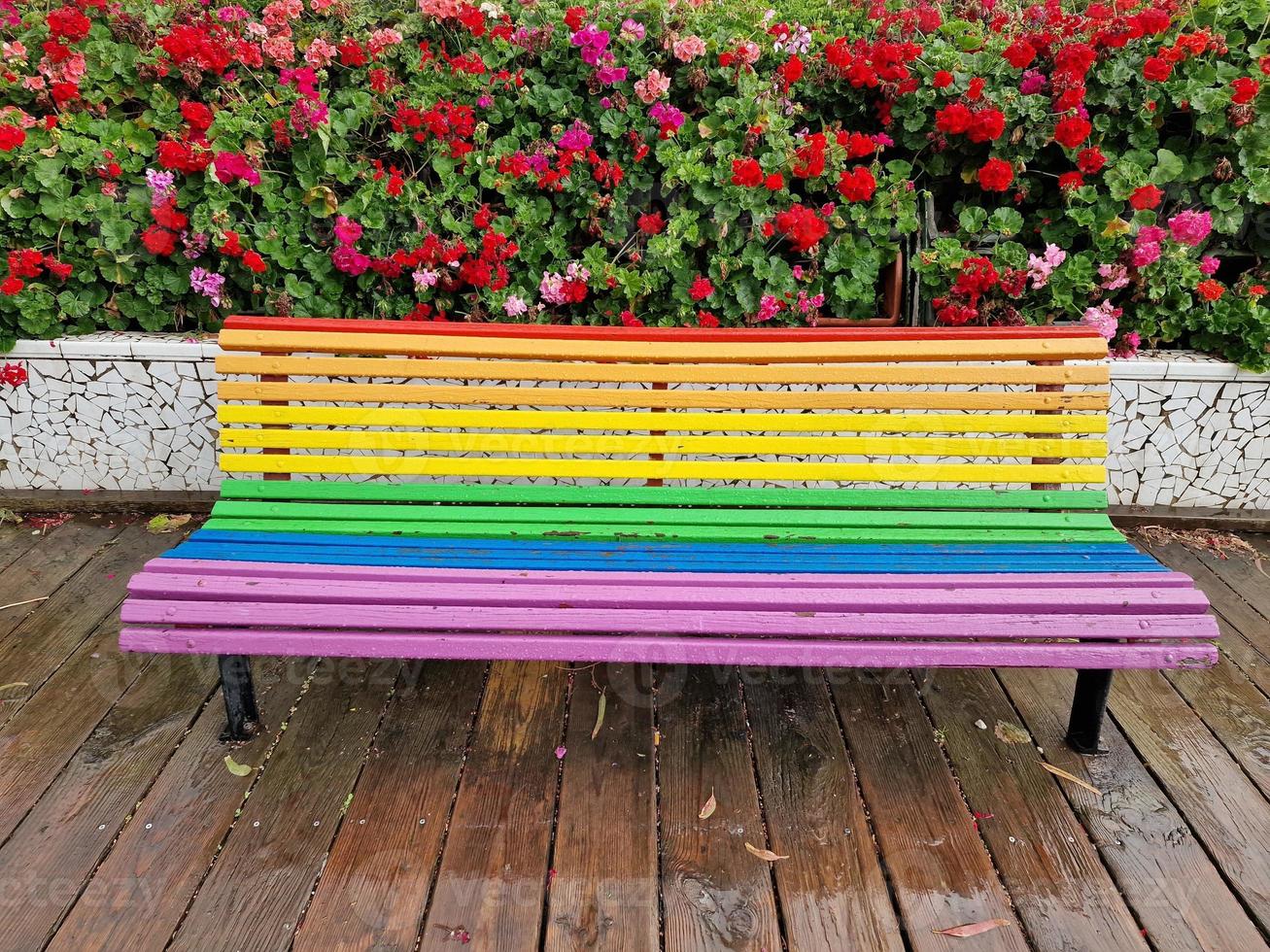Rainbow flag bench after the rain in Valencia photo