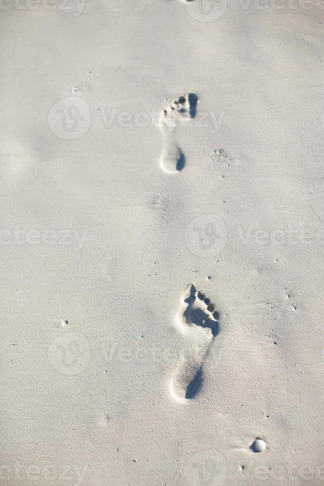 Human footprints on white sand of the Caribbean island photo