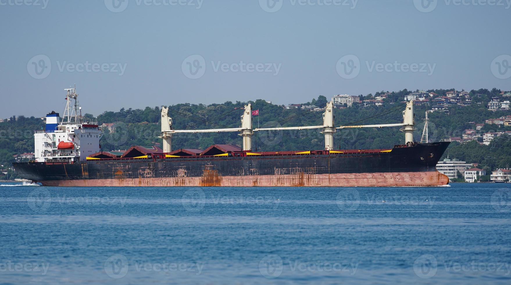 Cargo Ship in Sea photo