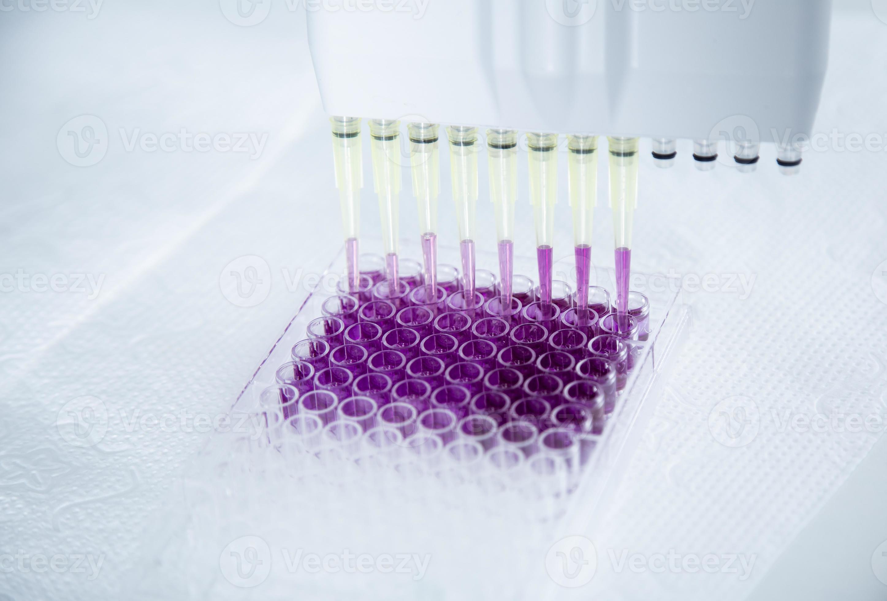 cell culture at the medicine, medical and cell culture laboratory