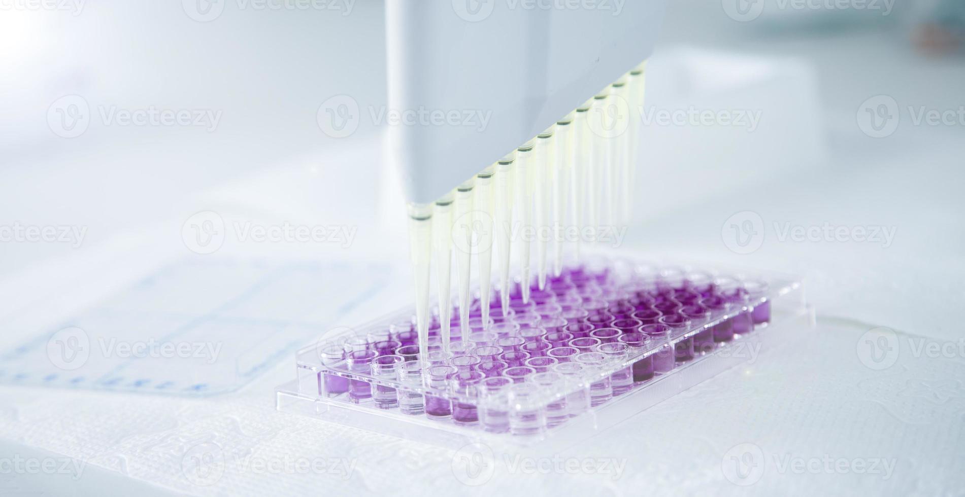 cell culture at the medicine, medical and cell culture laboratory photo