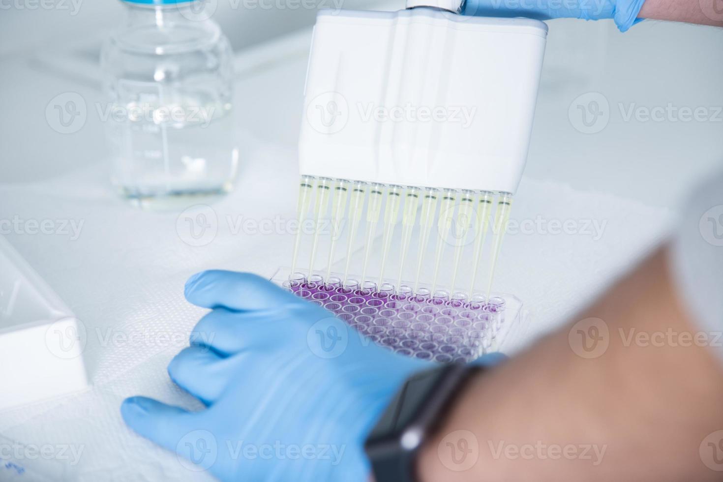 cultivo celular en el laboratorio de medicina, medicina y cultivo celular foto