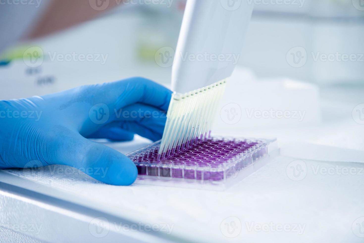 cell culture at the medicine, medical and cell culture laboratory photo