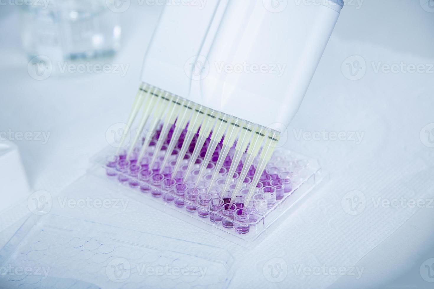 cell culture at the medicine, medical and cell culture laboratory photo