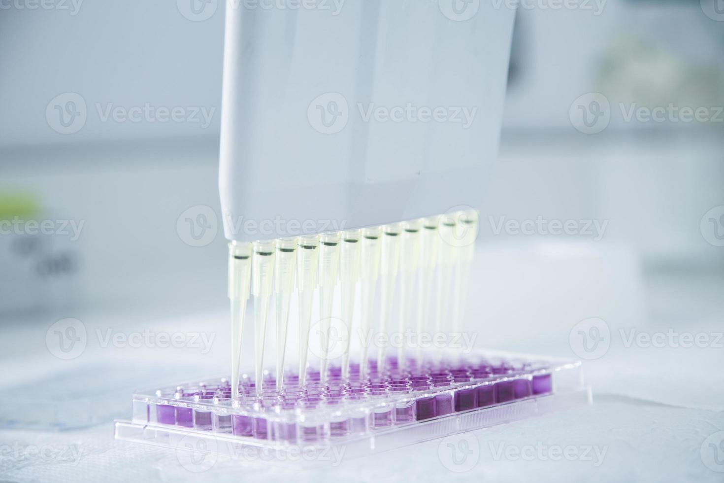 cell culture at the medicine, medical and cell culture laboratory photo