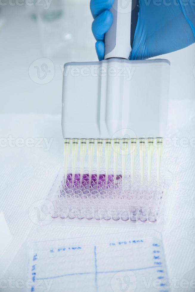 cell culture at the medicine, medical and cell culture laboratory photo