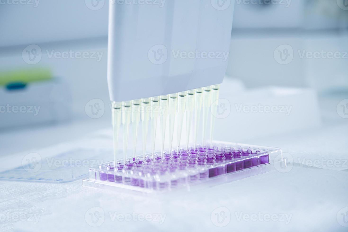 cell culture at the medicine, medical and cell culture laboratory photo