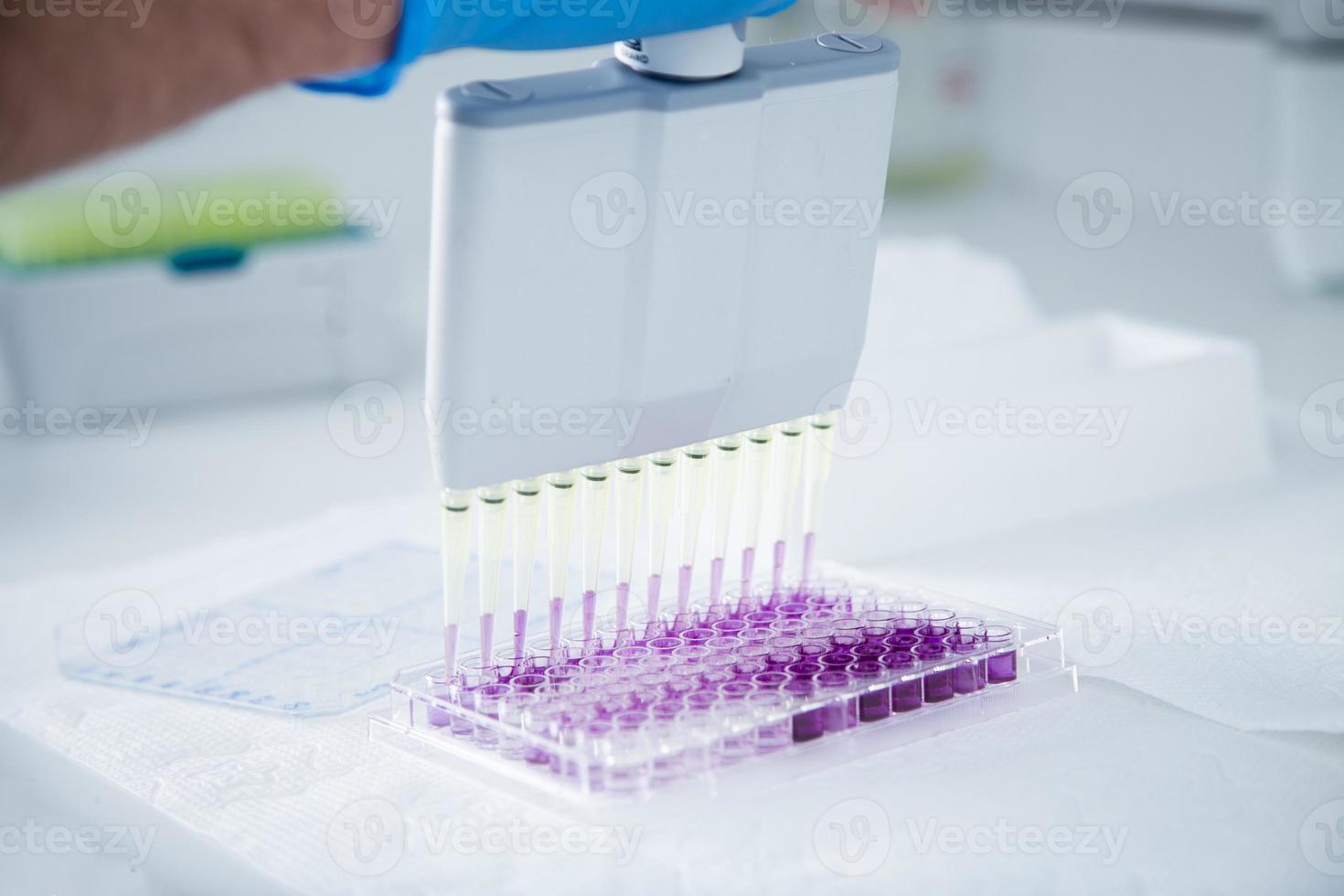 cell culture at the medicine, medical and cell culture laboratory photo