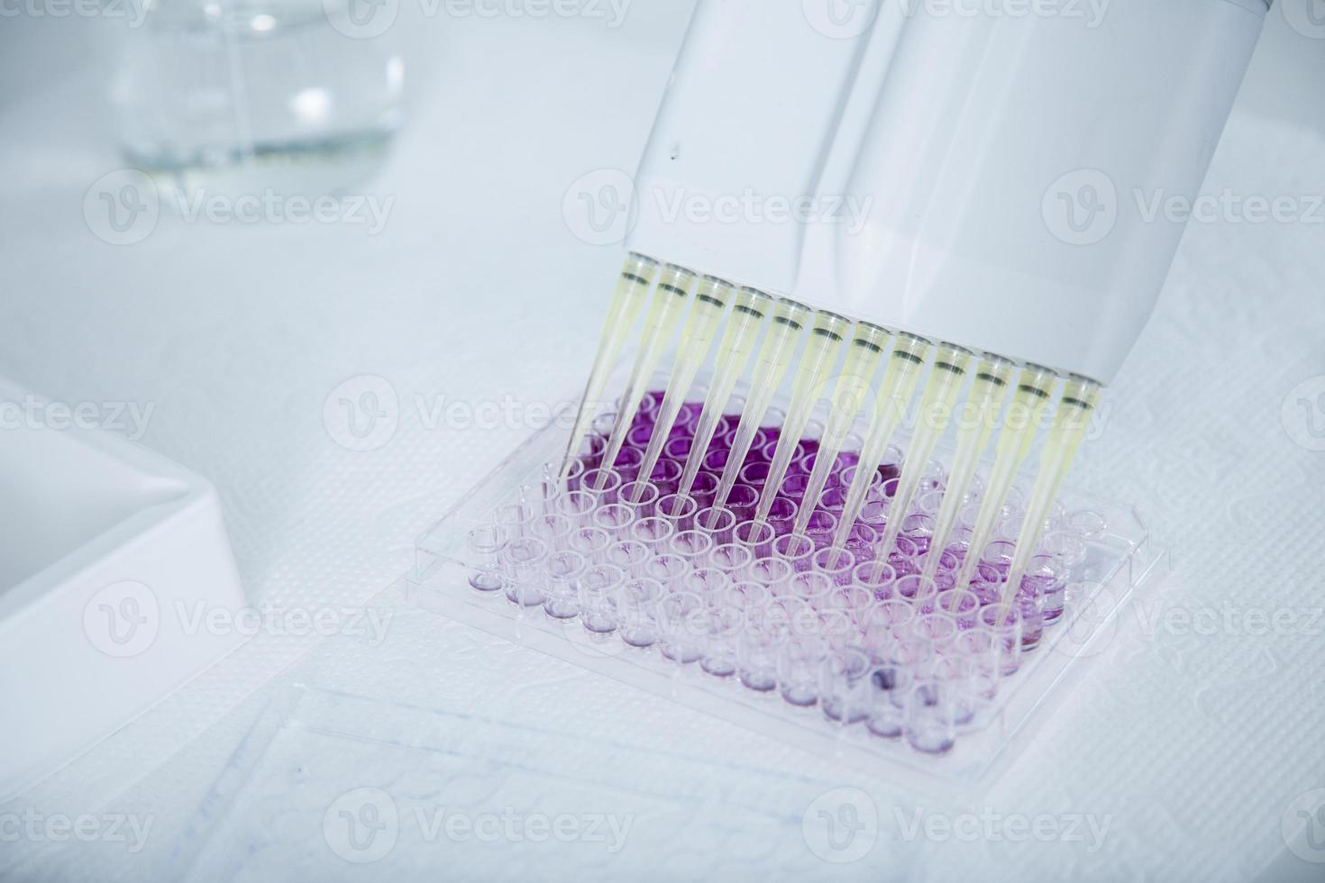 cell culture at the medicine, medical and cell culture laboratory photo