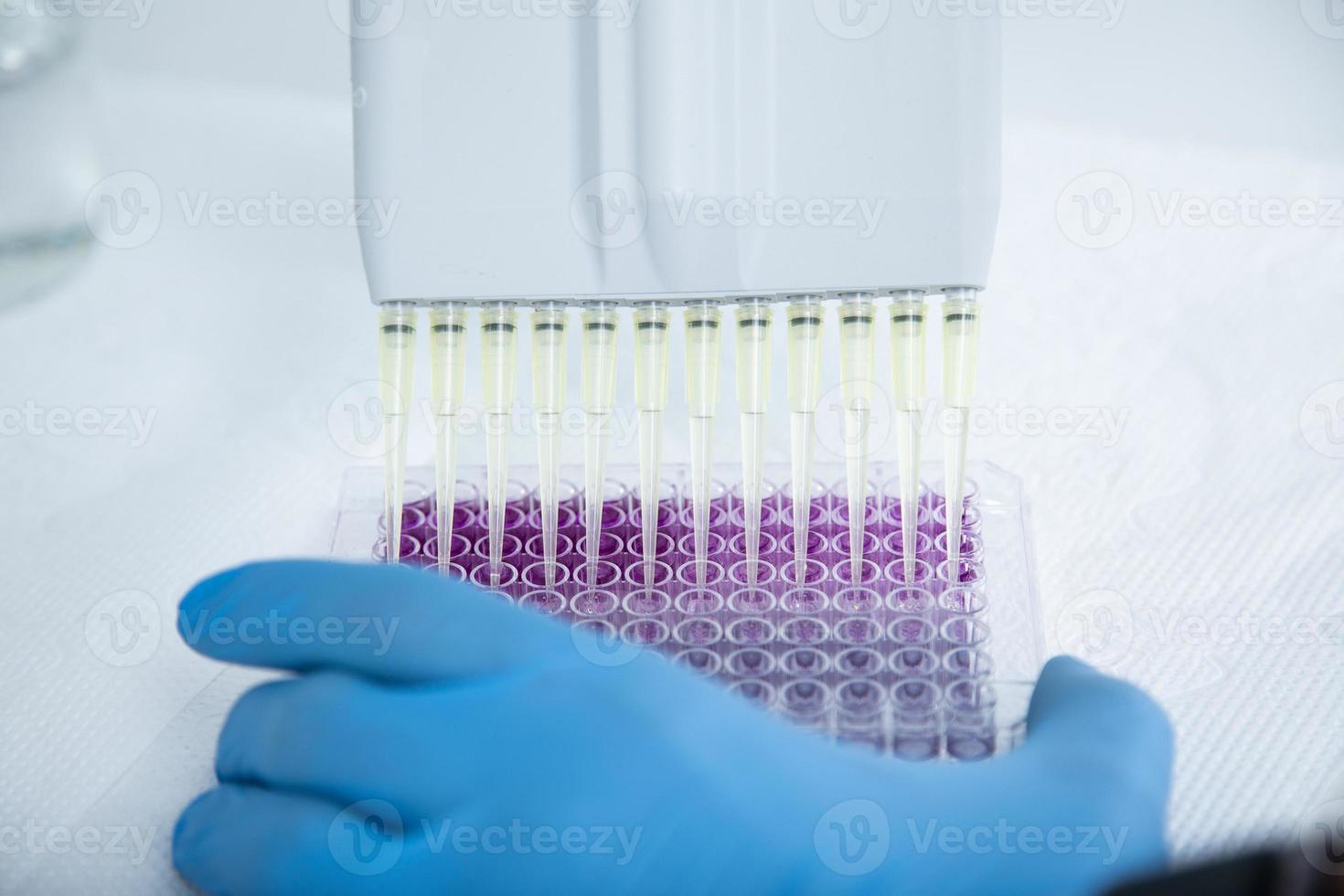 cell culture at the medicine, medical and cell culture laboratory photo