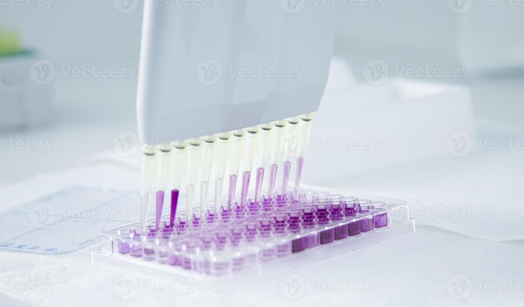 cell culture at the medicine, medical and cell culture laboratory photo