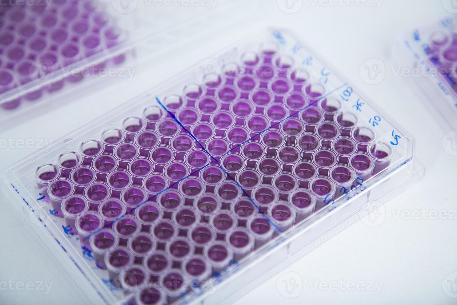 cell culture at the medicine, medical and cell culture laboratory photo