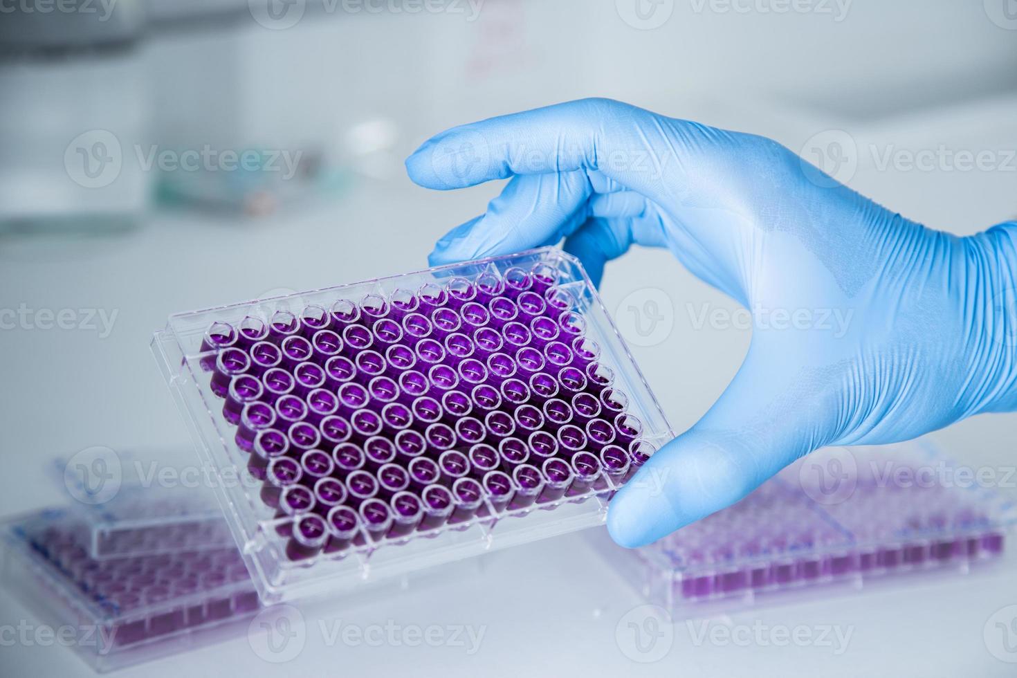 cell culture at the medicine, medical and cell culture laboratory photo