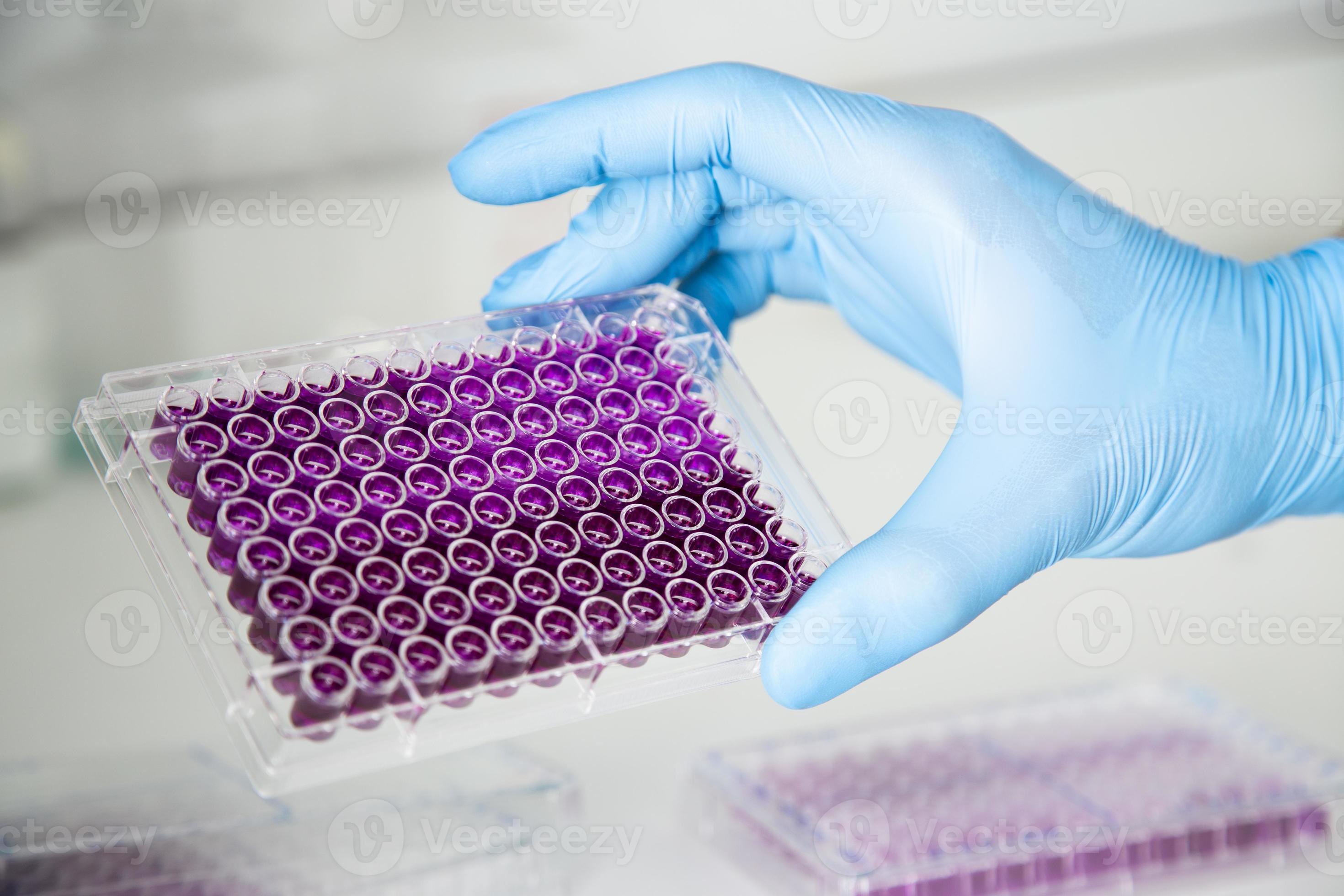 cell culture at the medicine, medical and cell culture laboratory