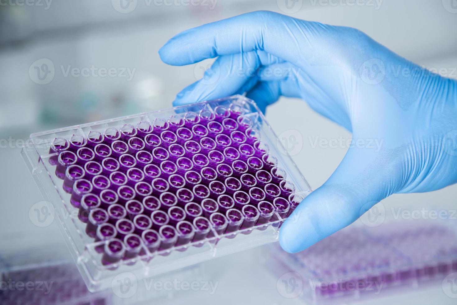 cell culture at the medicine, medical and cell culture laboratory photo