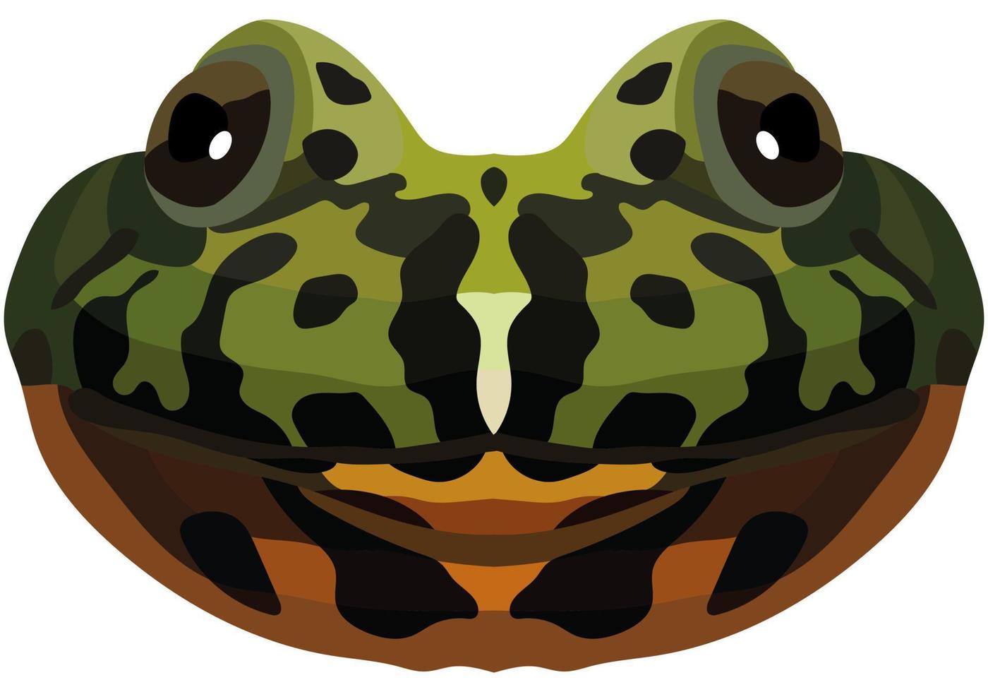 Realistic muzzle of fire-bellied toad. Portrait of a multi-colored frog on a white background. Vector graphics.