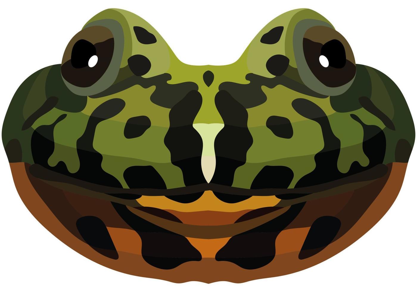 Realistic muzzle of fire-bellied toad. Portrait of a multi-colored frog on a white background. Vector graphics.