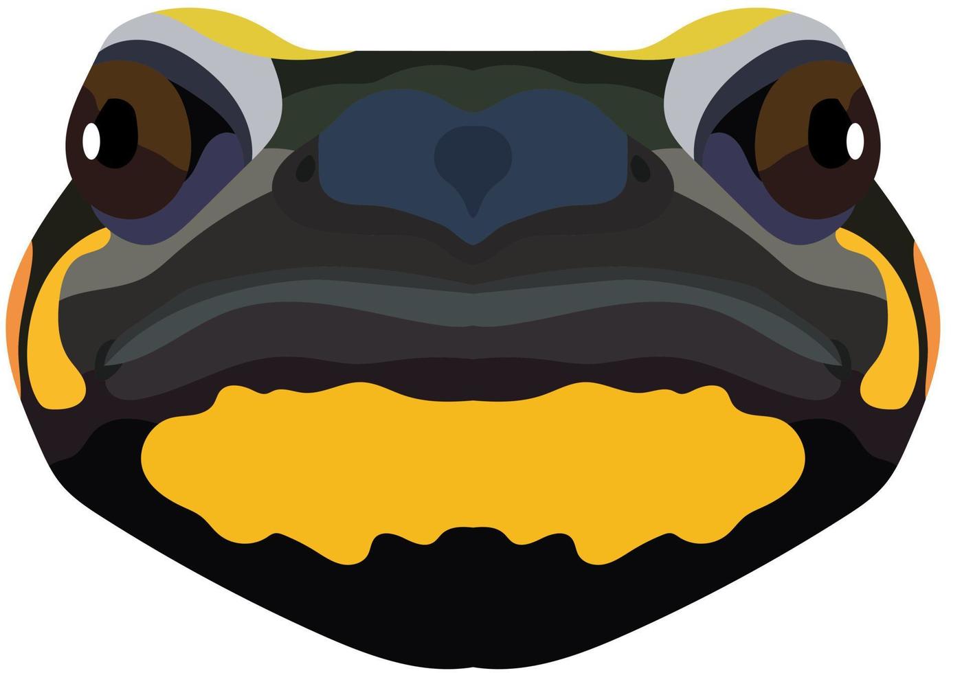Realistic face of a fire salamander. The portrait of an amphibian is depicted on a white background. Vector graphics.