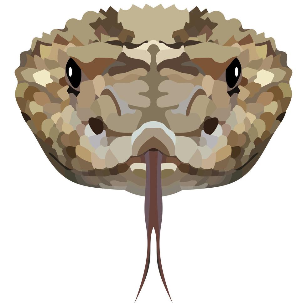 Head of a rattlesnake. The portrait of a poisonous snake is depicted on a white background. Vector graphics.