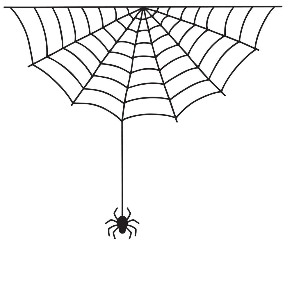 Halloween spider web and spider vector