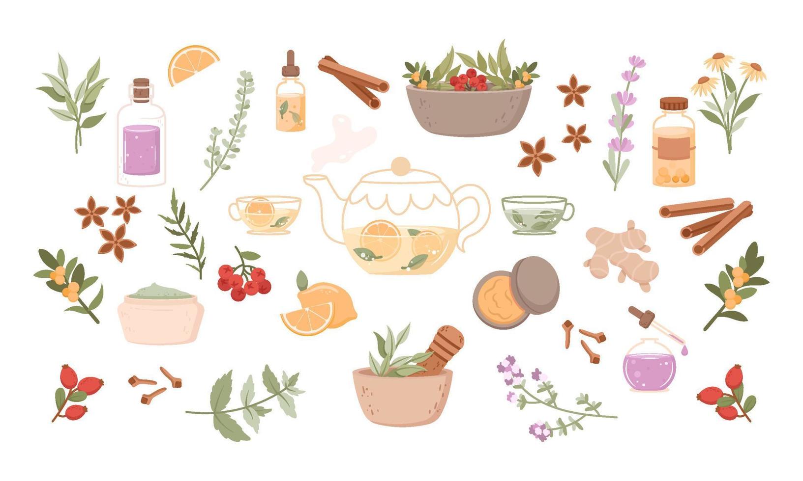 conjunto de ilustración de medicina herbaria. icono plano con dibujos animados de spa de flores para diseño médico vector