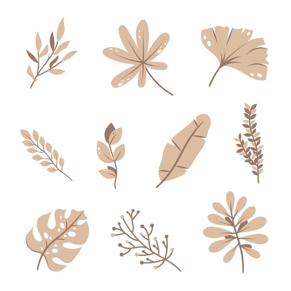 hermoso juego de hojas de palma planas. hojas de selva exótica vectorial. diseño de plantas tropicales vector