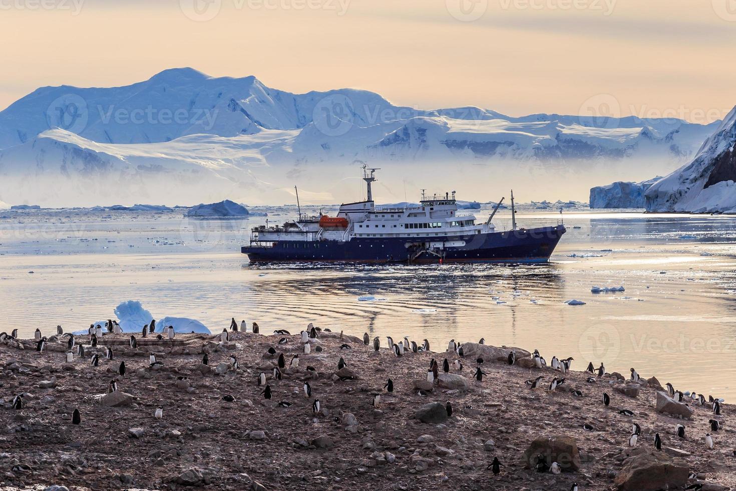 crucero antártico en la laguna entre icebergs y colonia de pingüinos gentoo en la costa rocosa de la bahía de neco, antártida foto