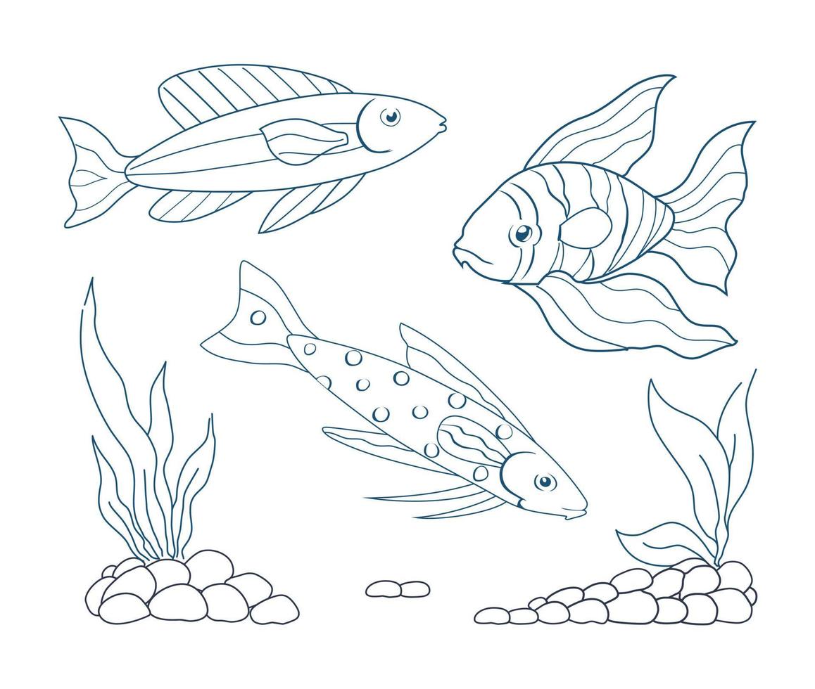 Underwater fish set. Goldfish, geophagus and striped fish. Stones with seaweed on the bottom. Vector illustration set.