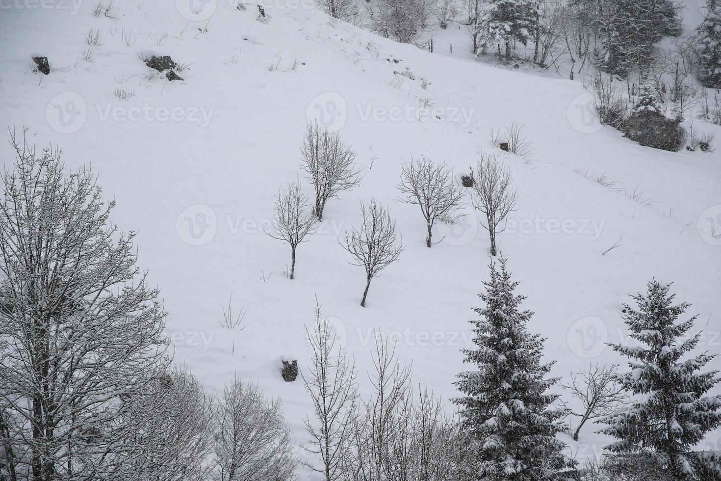 Winter landscape in Austrian Alps photo