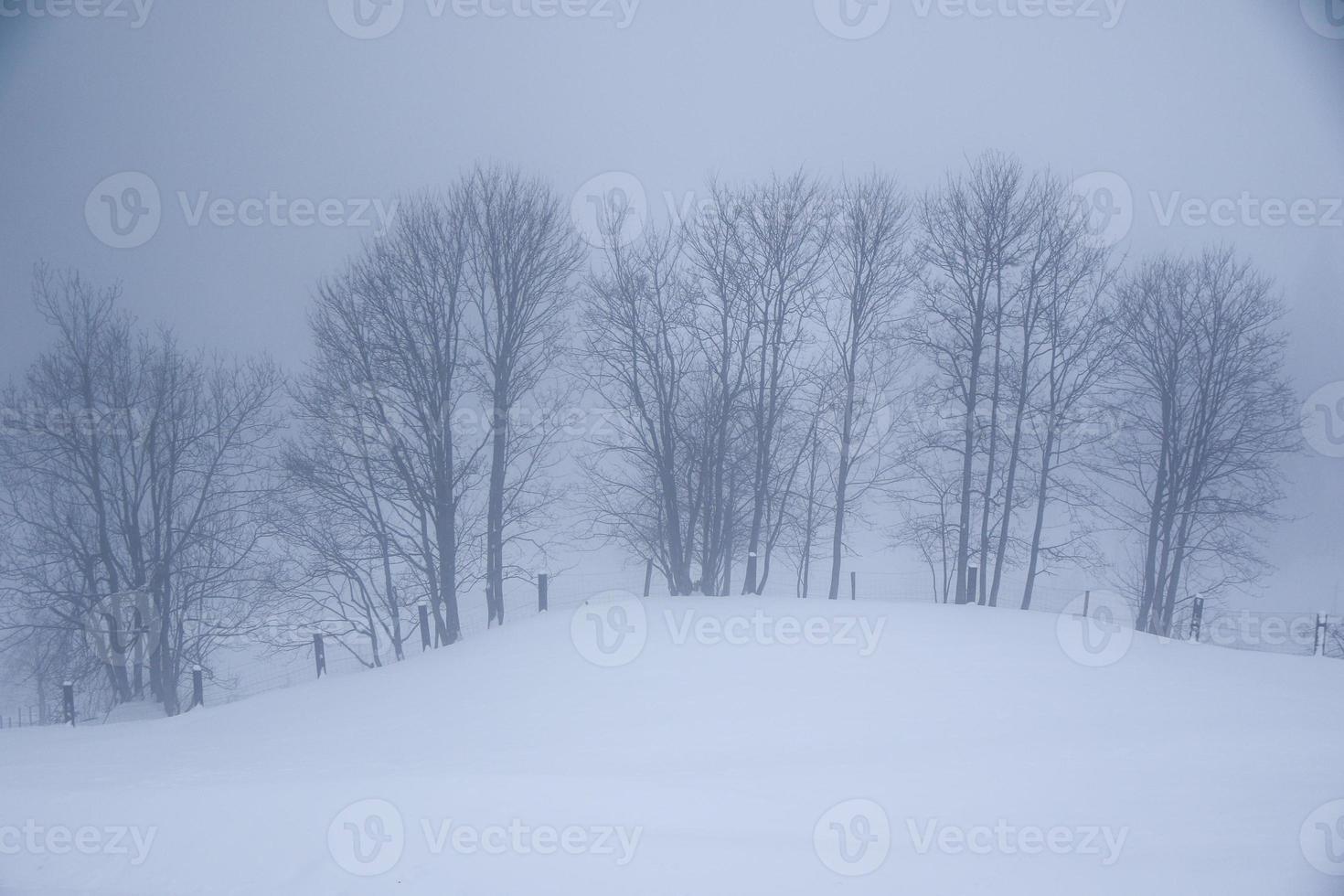 paisaje invernal en los alpes austríacos foto