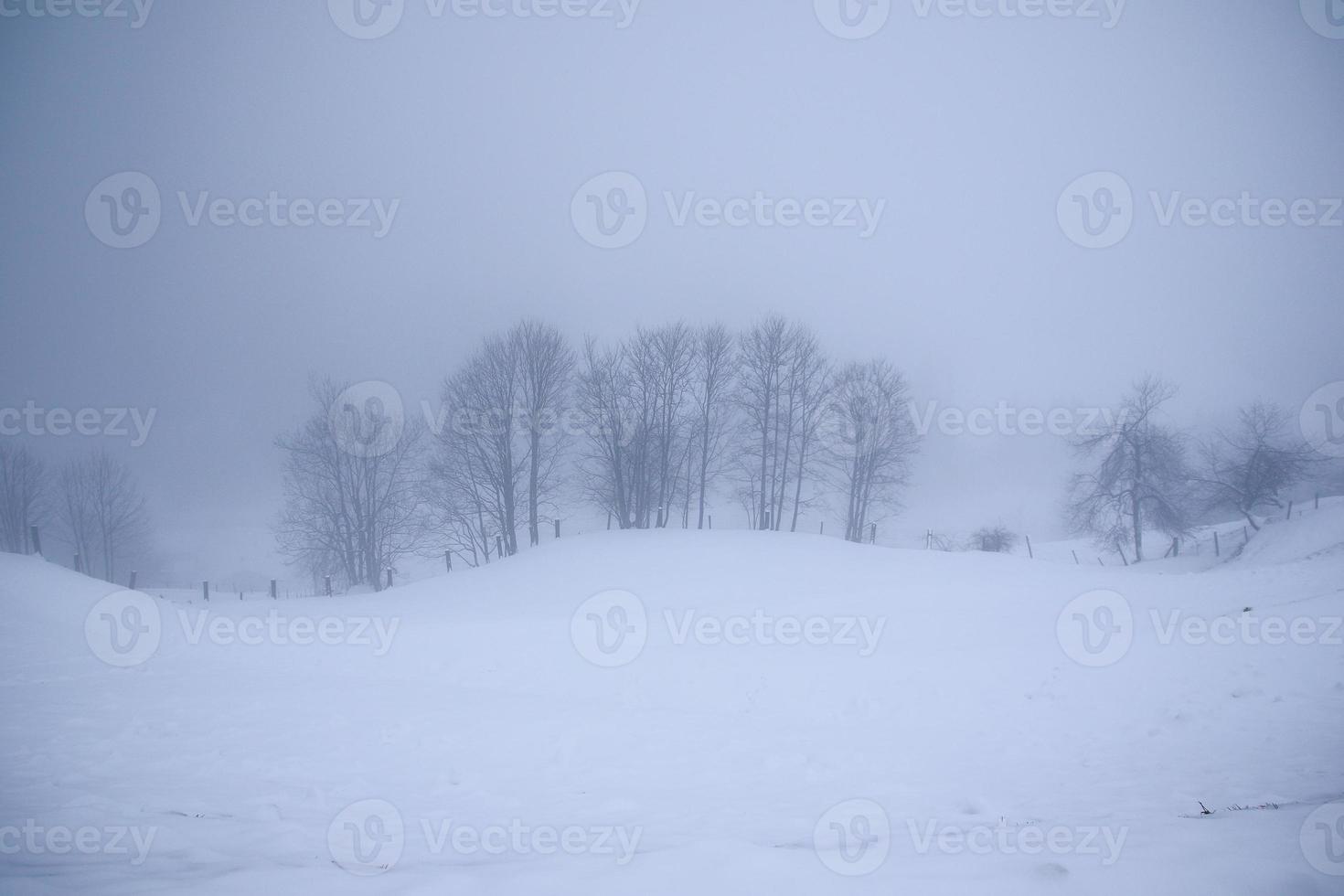 paisaje invernal en los alpes austríacos foto