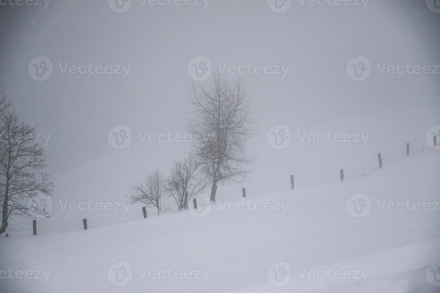 paisaje invernal en los alpes austríacos foto