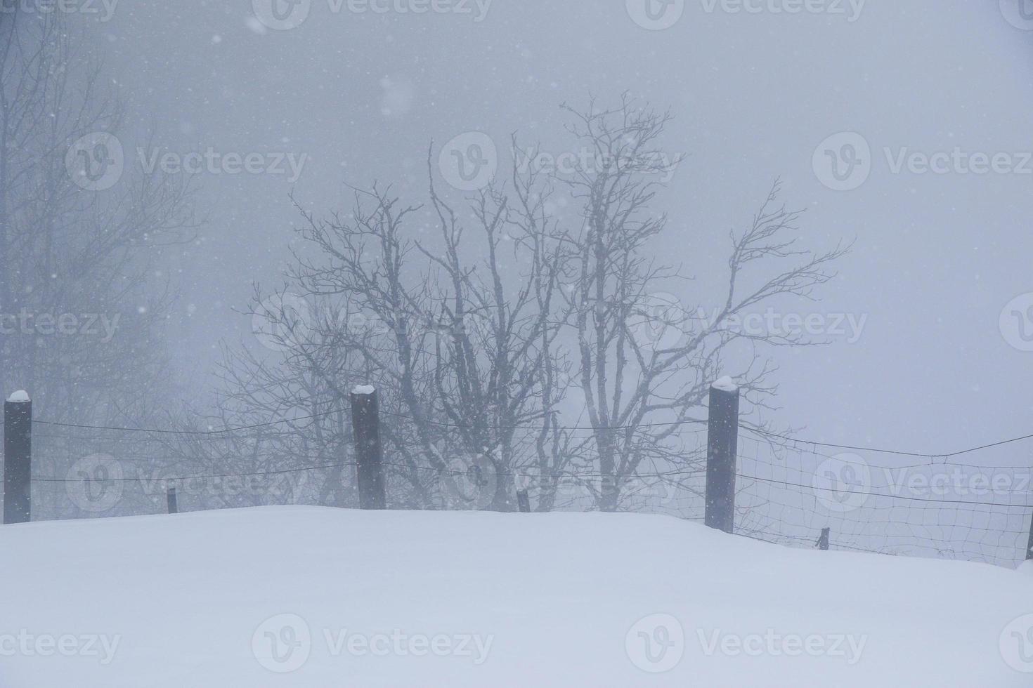 paisaje invernal en los alpes austríacos foto