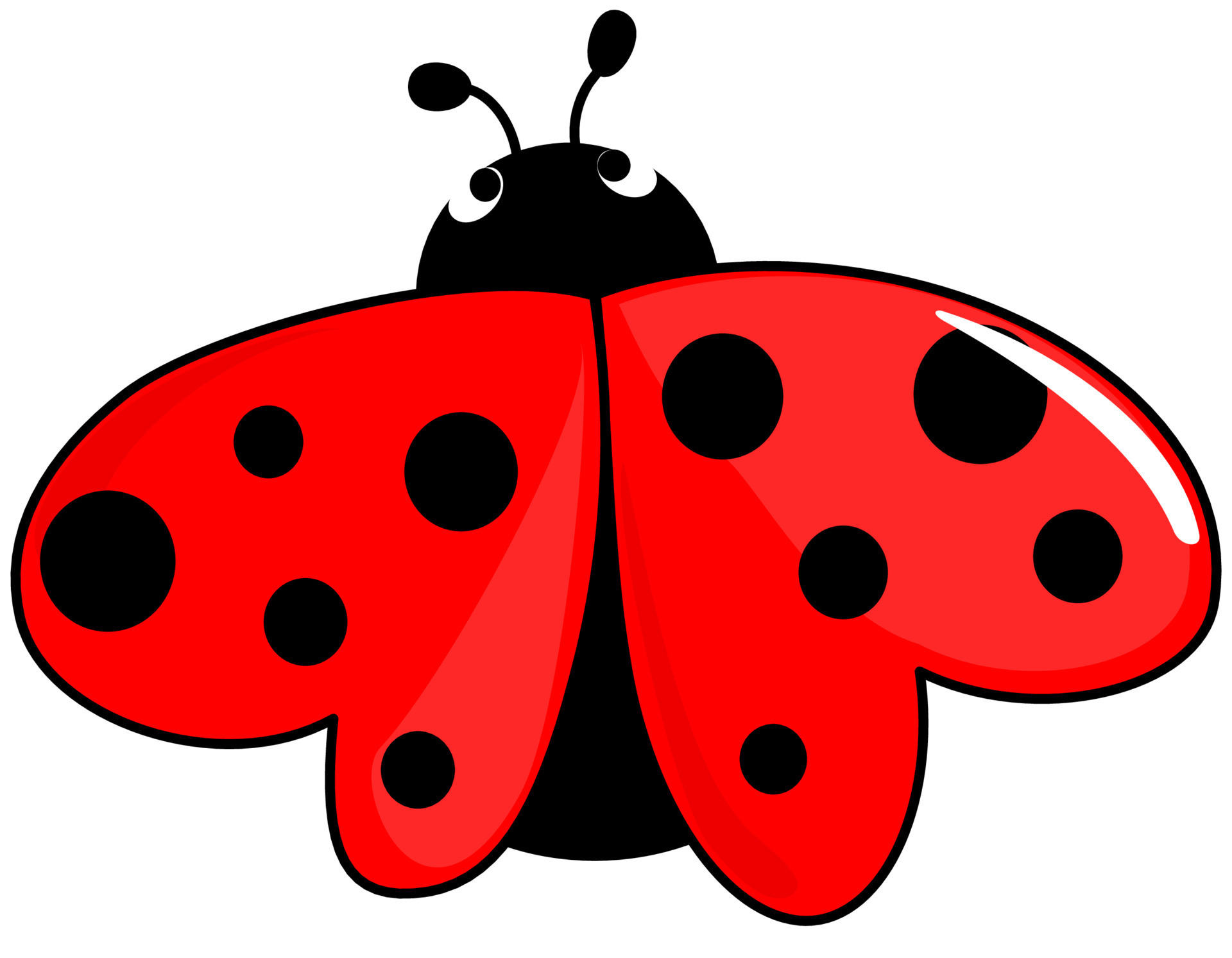 Ladybug with wings in the shape of heart 18836932 Vector Art at Vecteezy