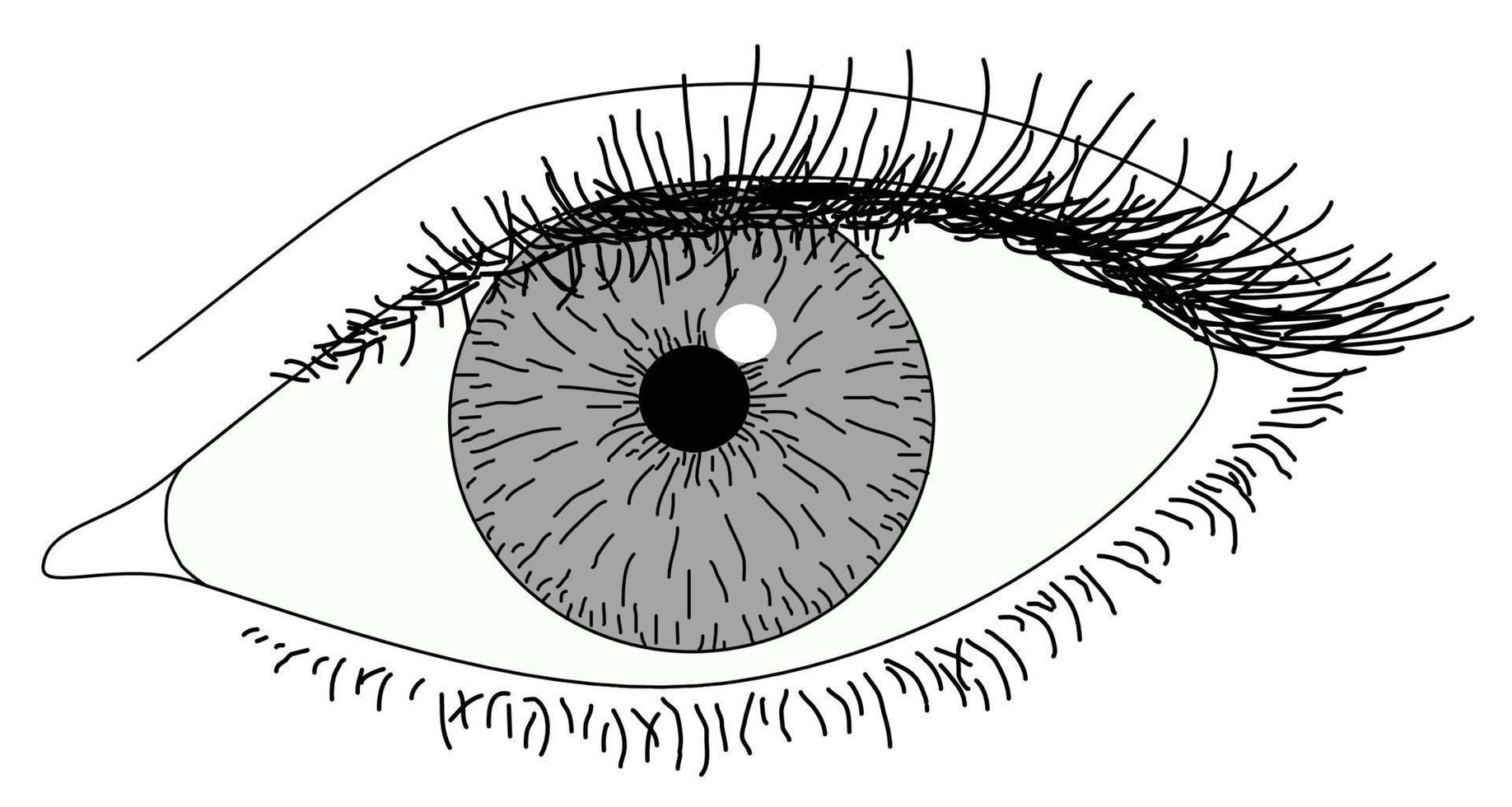 Simple drawing eye vector