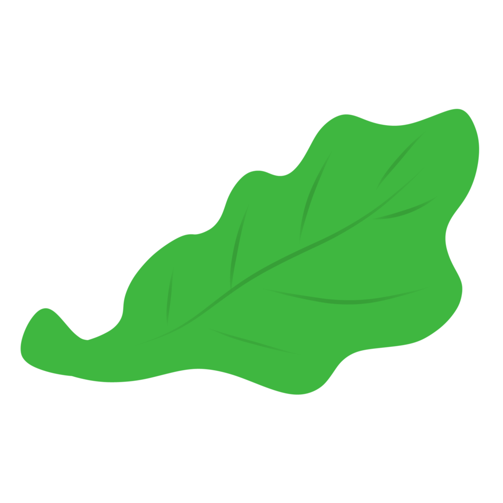 A wavy green leaves illustration png