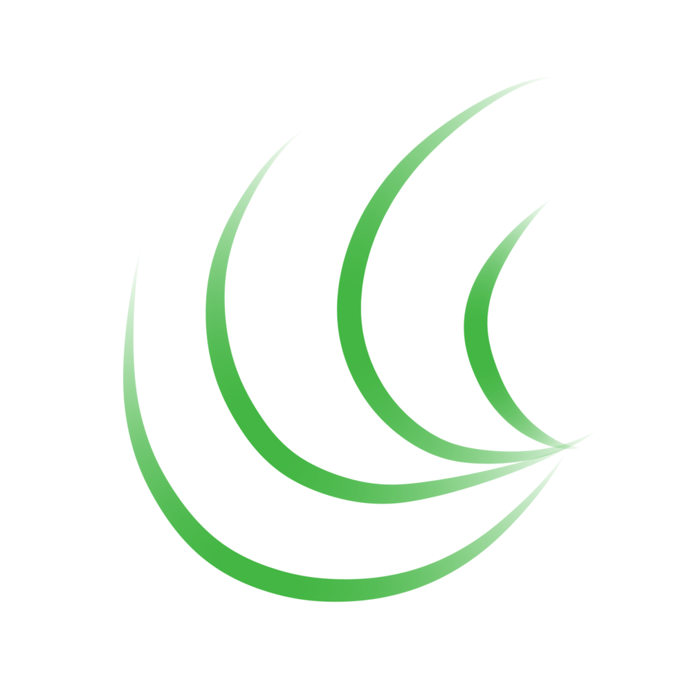 Simple illustration of leaves png