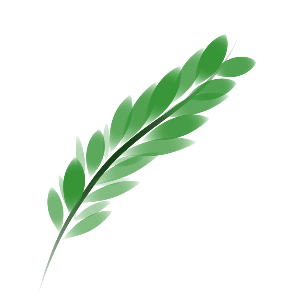 illustration simple d'une feuille de printemps png