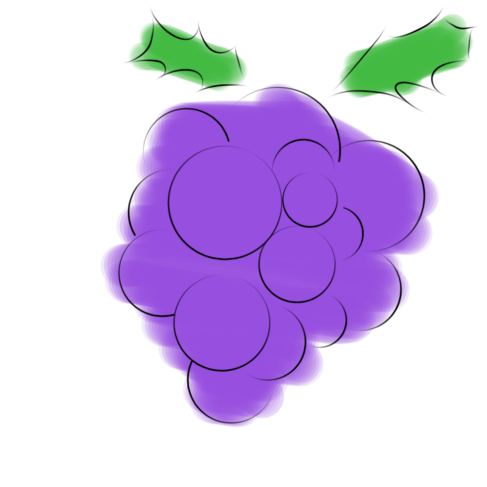 Doodle illustration d'un raisin png