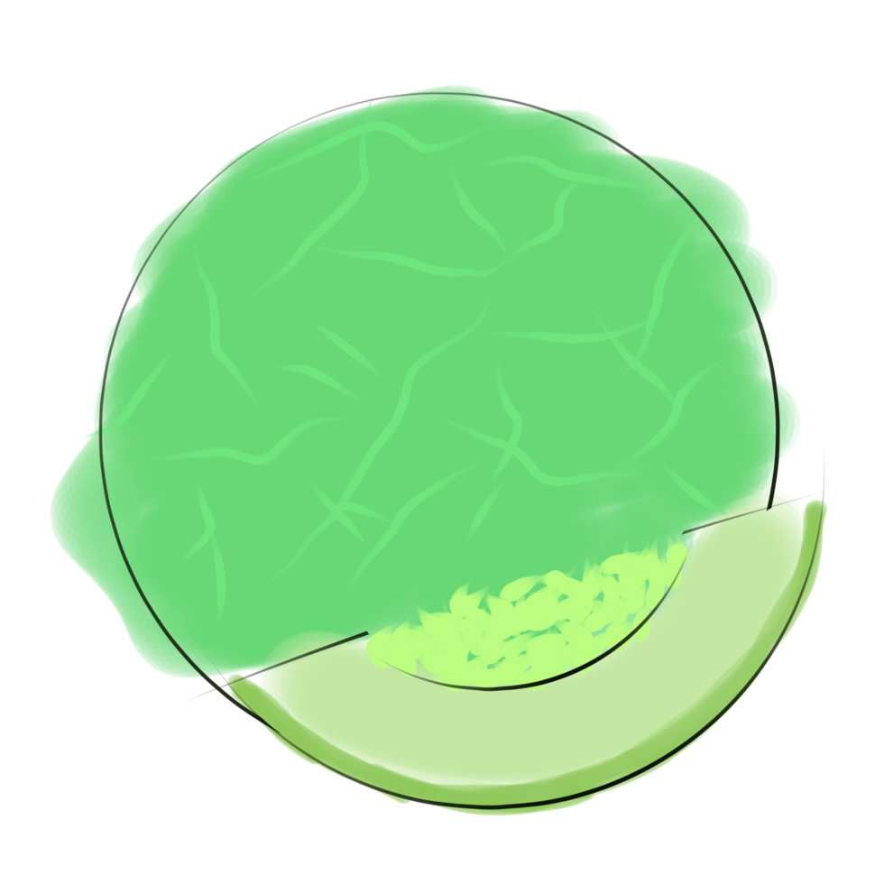 Water illustration of a melon png