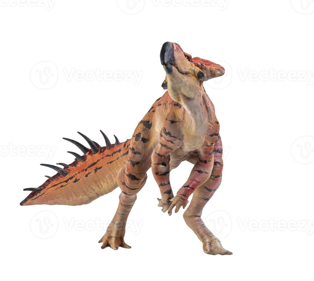 Protoceratops  , dinosaur on  isolated background png