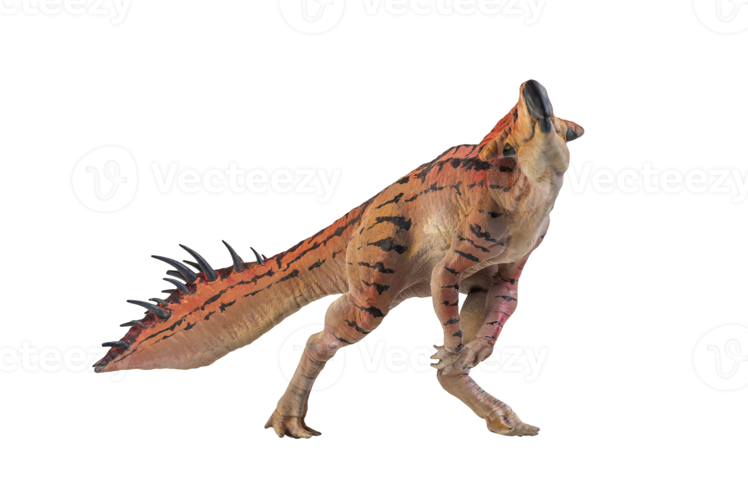 Protoceratops  , dinosaur on  isolated background png