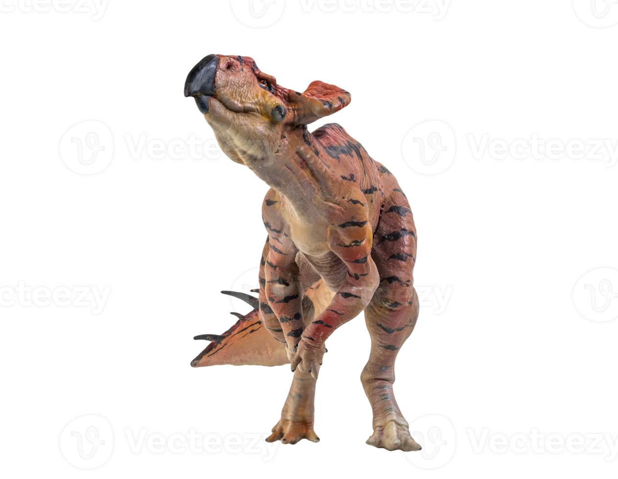 Protoceratops  , dinosaur on  isolated background png