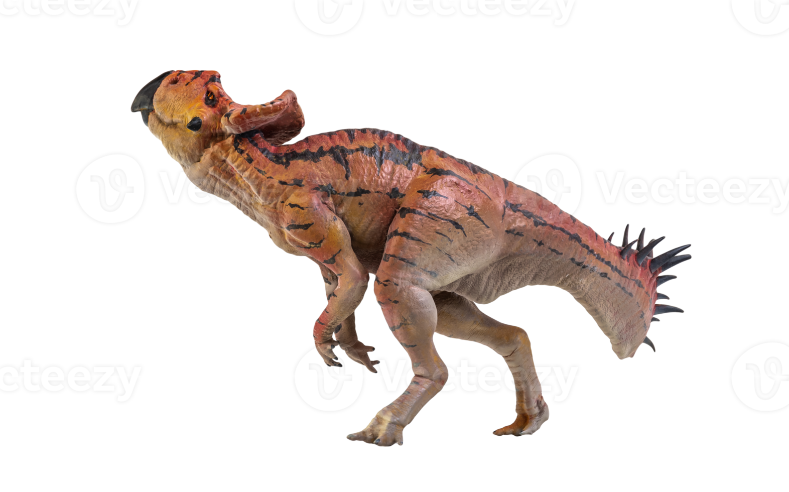 protoceratops, dinosaurio sobre fondo aislado png