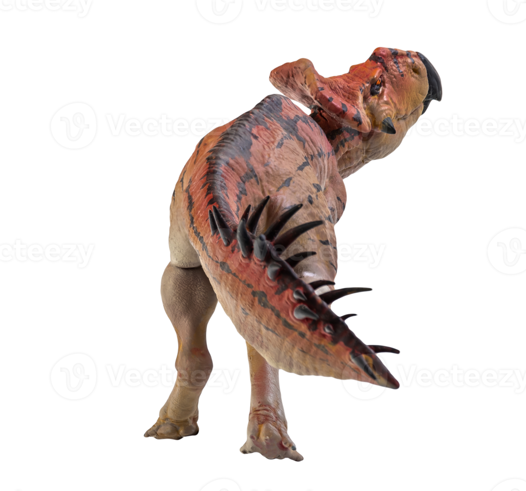 protoceratops, dinosaurio sobre fondo aislado png